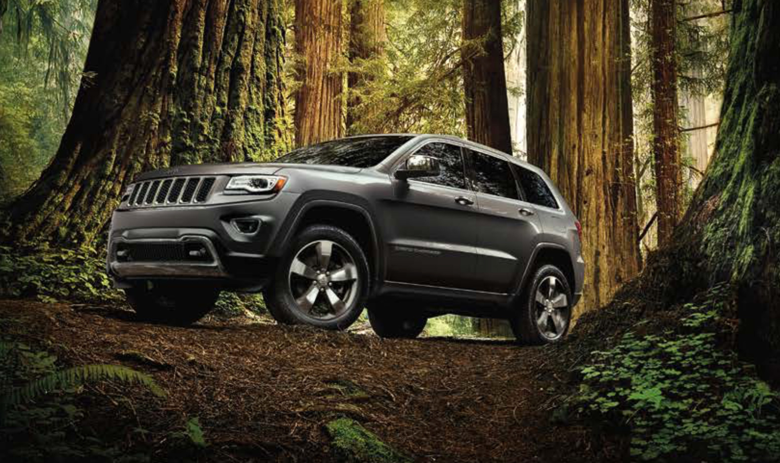 Jeep Grand Cherokee 2014 Exterior